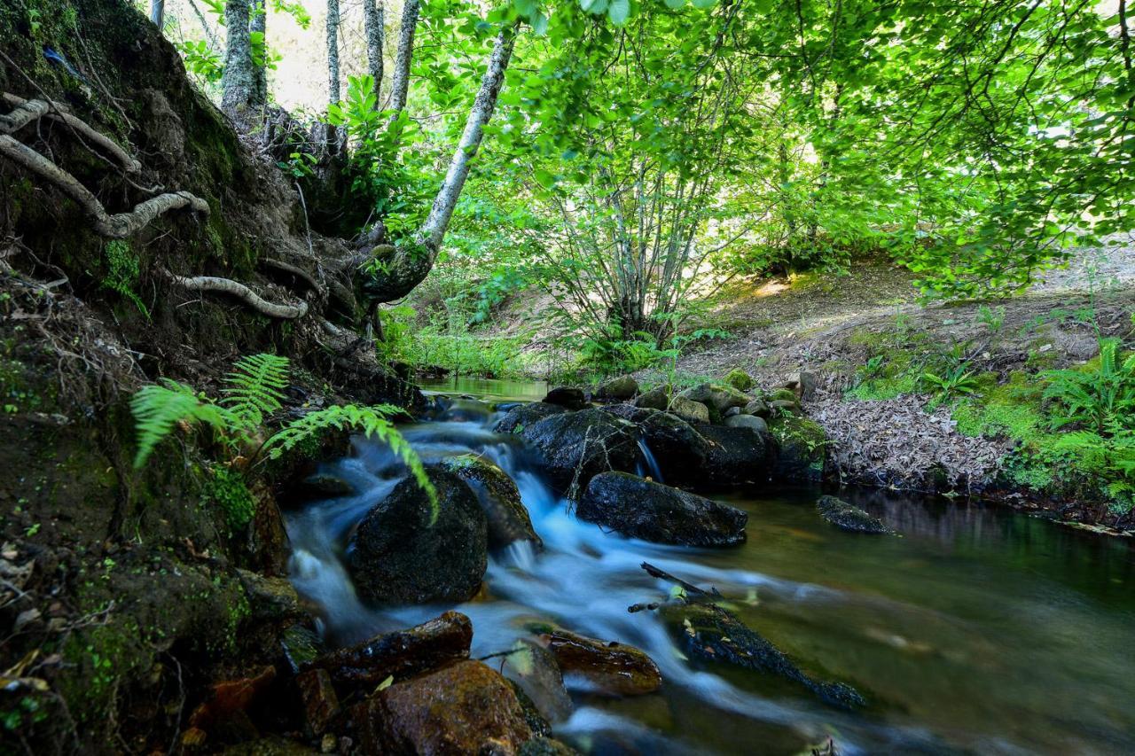Hotel Quinta Da Dourada Portalegre Zewnętrze zdjęcie